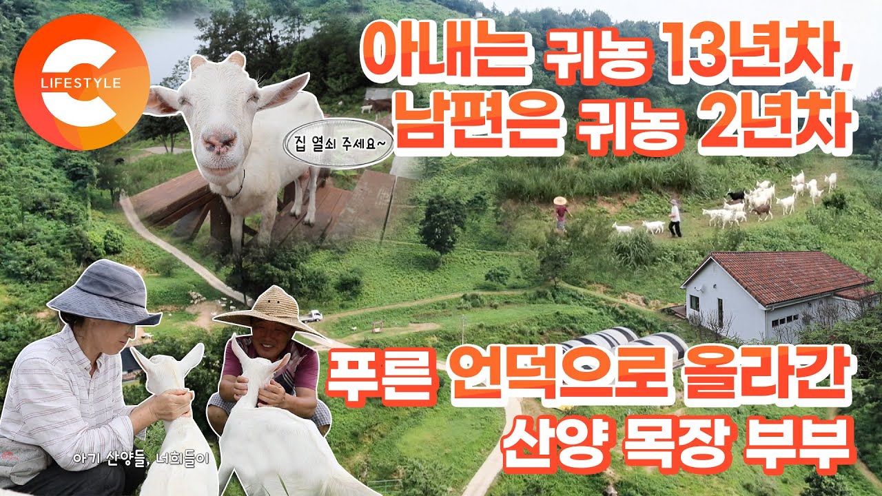 13만 제곱미터 언덕에 터잡은 부부, 13년차 아내와 도시 물 덜 빠진 남편의 꿈같은 귀농 일기