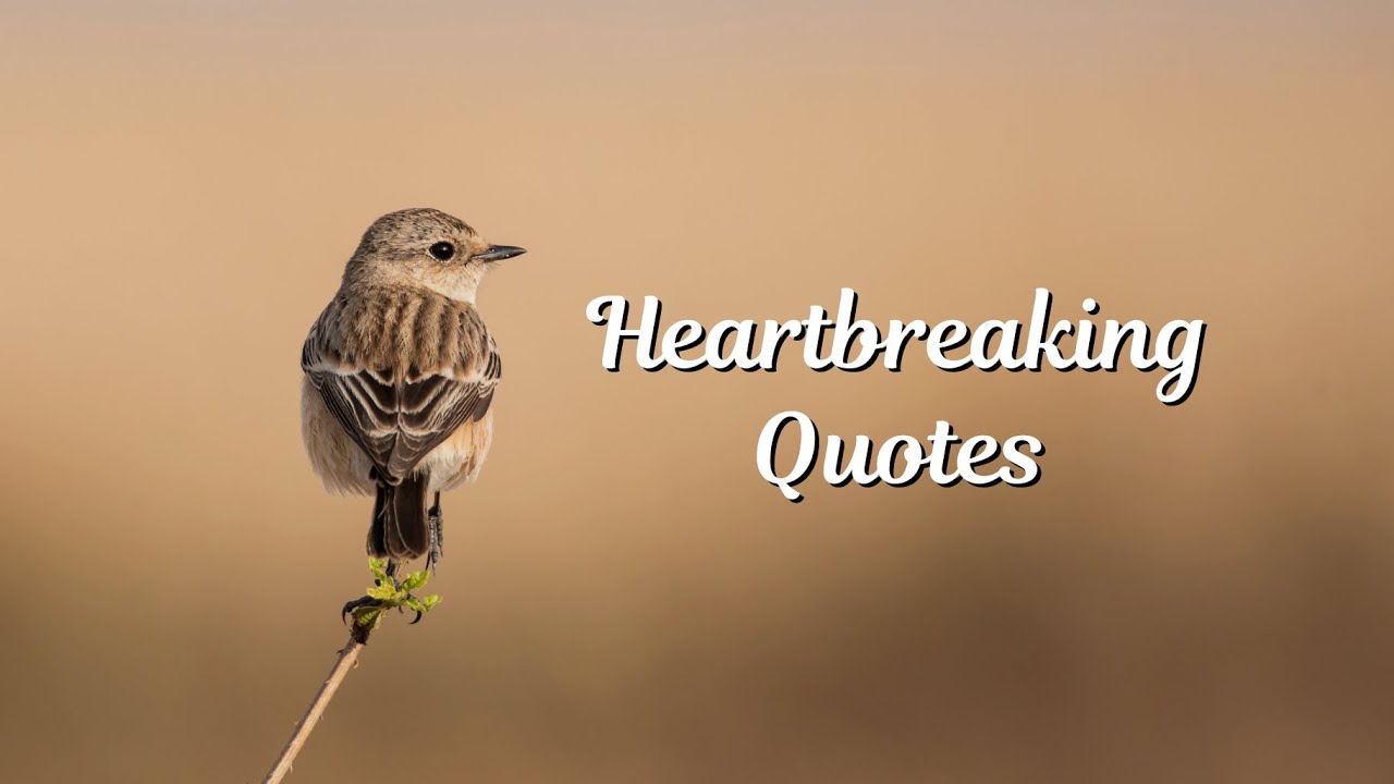 Heartbreaking Quotes About Love and Relationships 💔 Sad Love Quotes