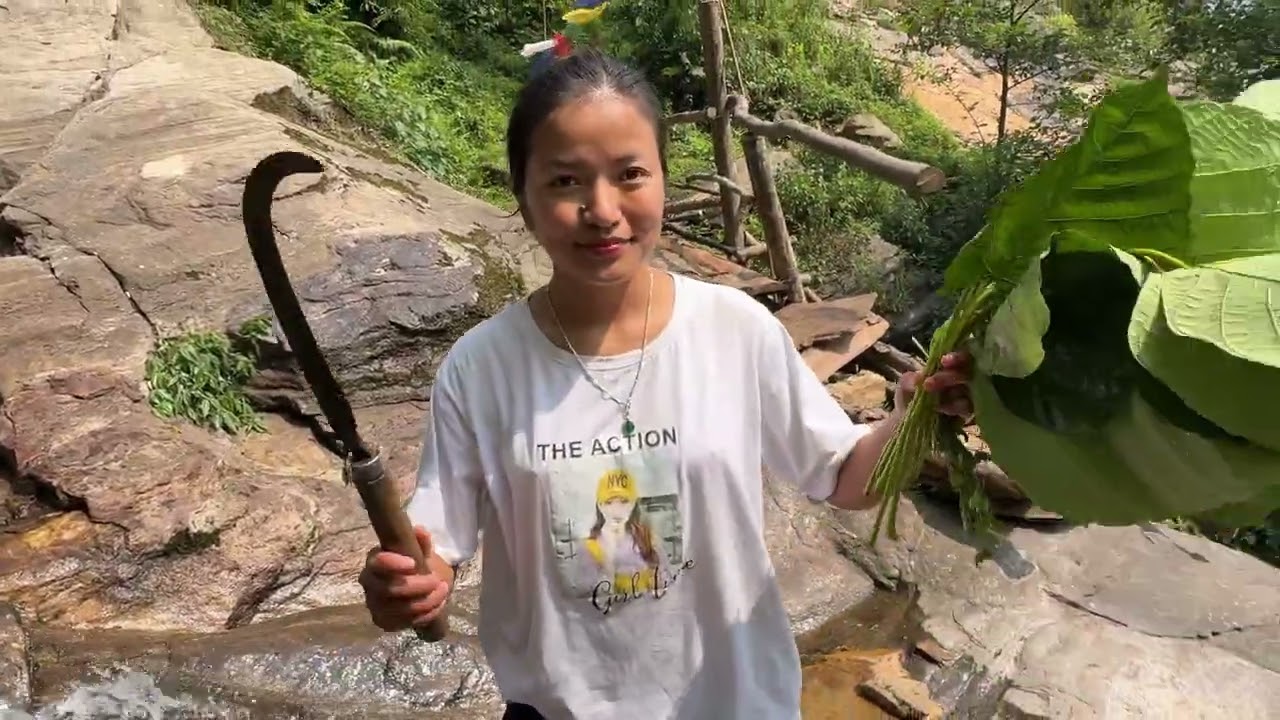 Exploring jungle/ new experience 💕#love #staff #jungle #environment
