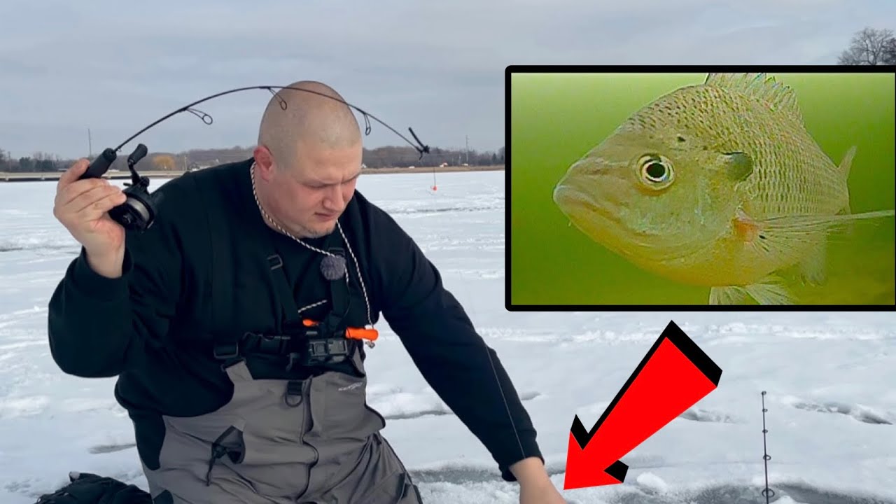 First Ice Fishing Trip of 2026 | Bluegill EVERYWHERE (Underwater Footage)