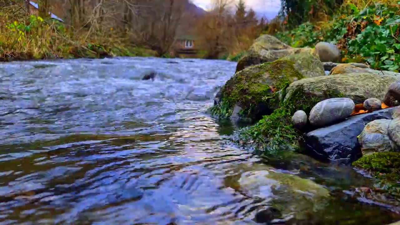 Relaxing River Sounds for Sleep, Focus & Meditation