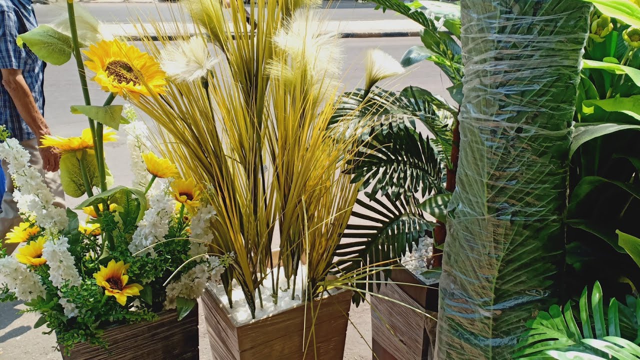 جولة سريعة في محلات الزرع في المنشية 🌿🌿🌿 اشتريت زرع جديد للبيت