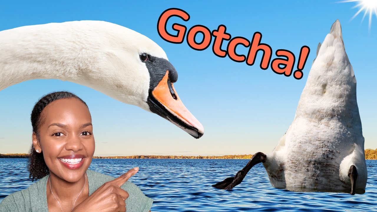 5 Funny Birding Moments You Won’t Believe I Caught on Camera!