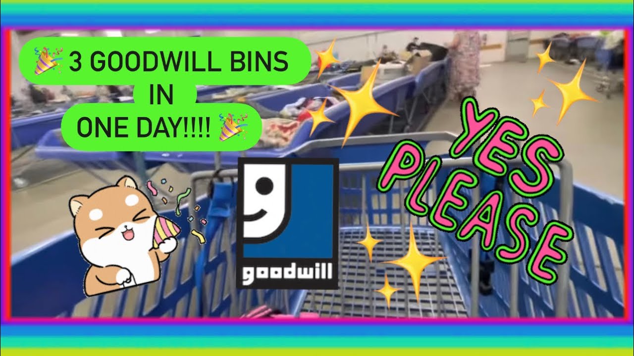 3 Goodwill Bins in 1 DAY!!! A Thrifting Marathon! Thrift With Me for Resale! + HAUL
