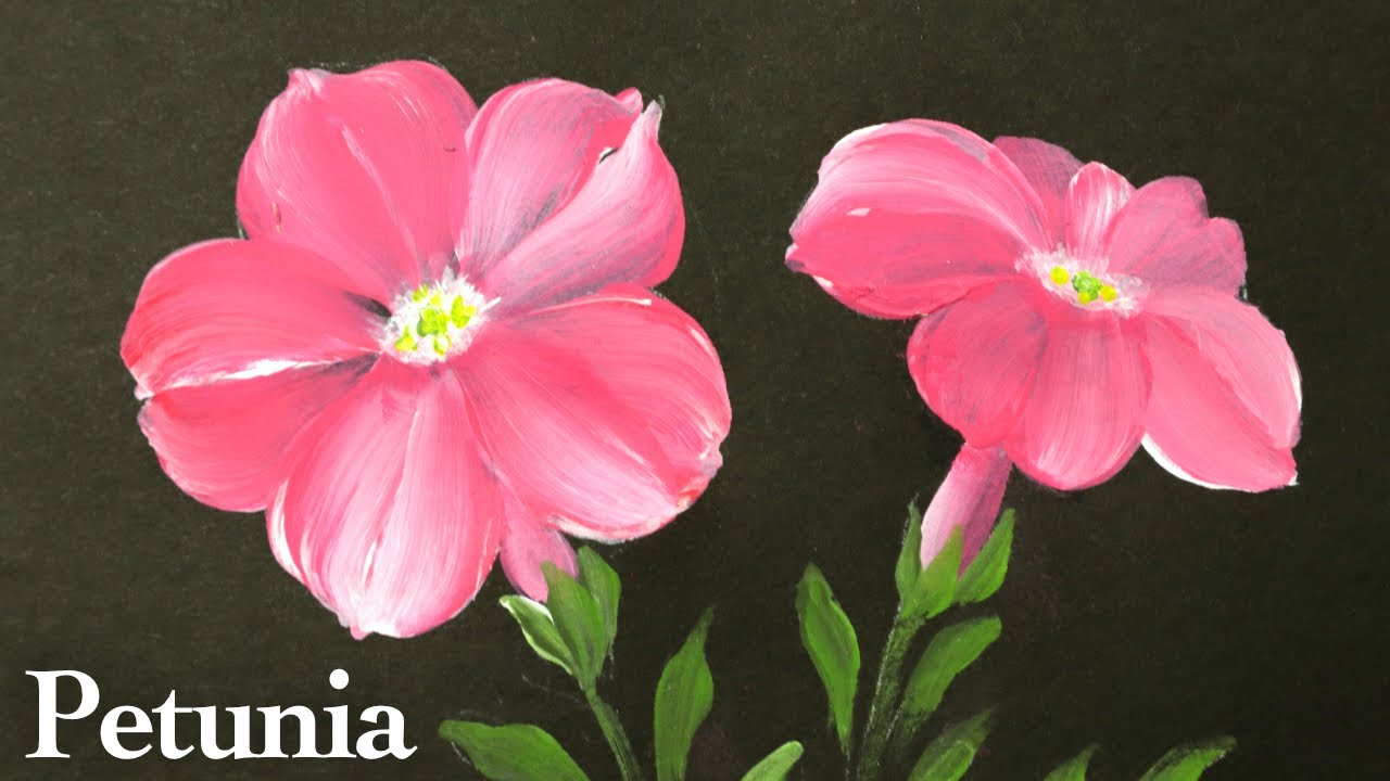 How to paint petunia flower for beginners