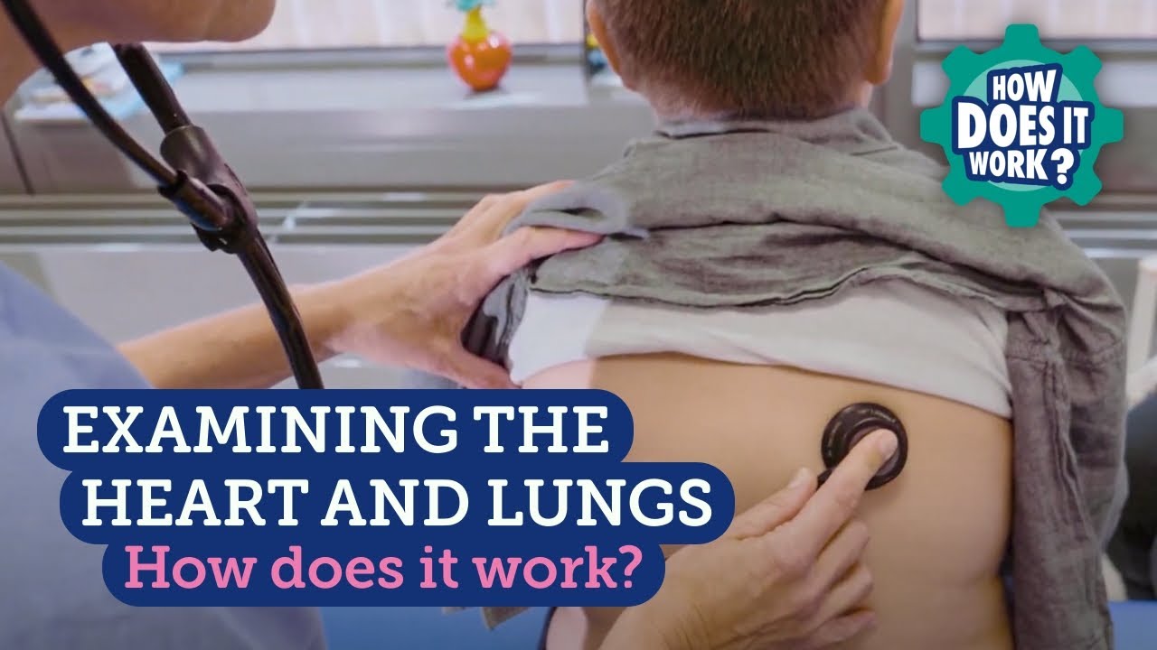 Examining the Heart and Lungs (Children)