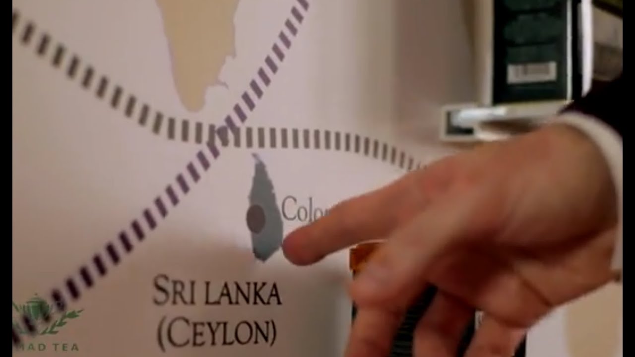 What kind of tea is grown in Sri Lanka? Explained by Tea Taster Dominic Marriot