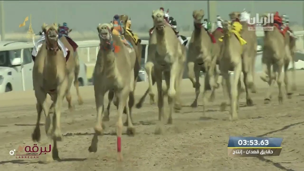 ش4 معتاد لـ مبارك محمد قطامي المري (مهرجان المؤسس 4-12-2022م) الخنجر الفضي حقايق قعدان إنتاج 5:54:77