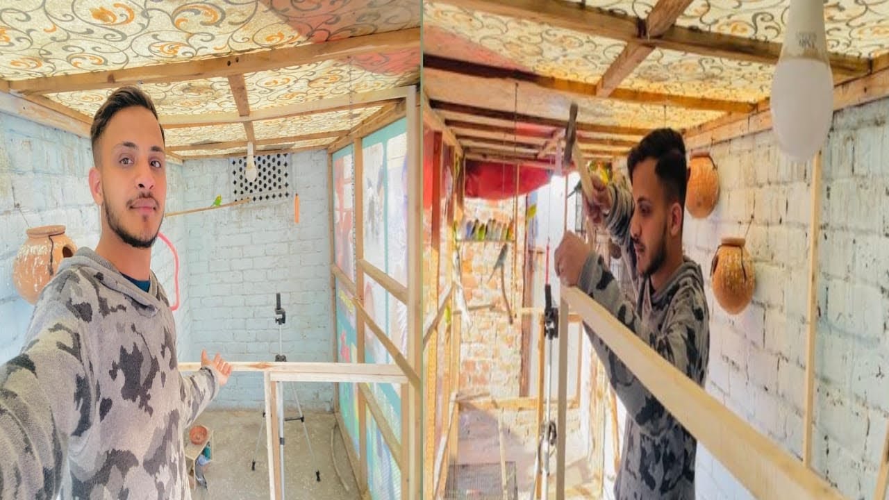 Master Cage Mein Finches Ke Liye Partition Kar Di