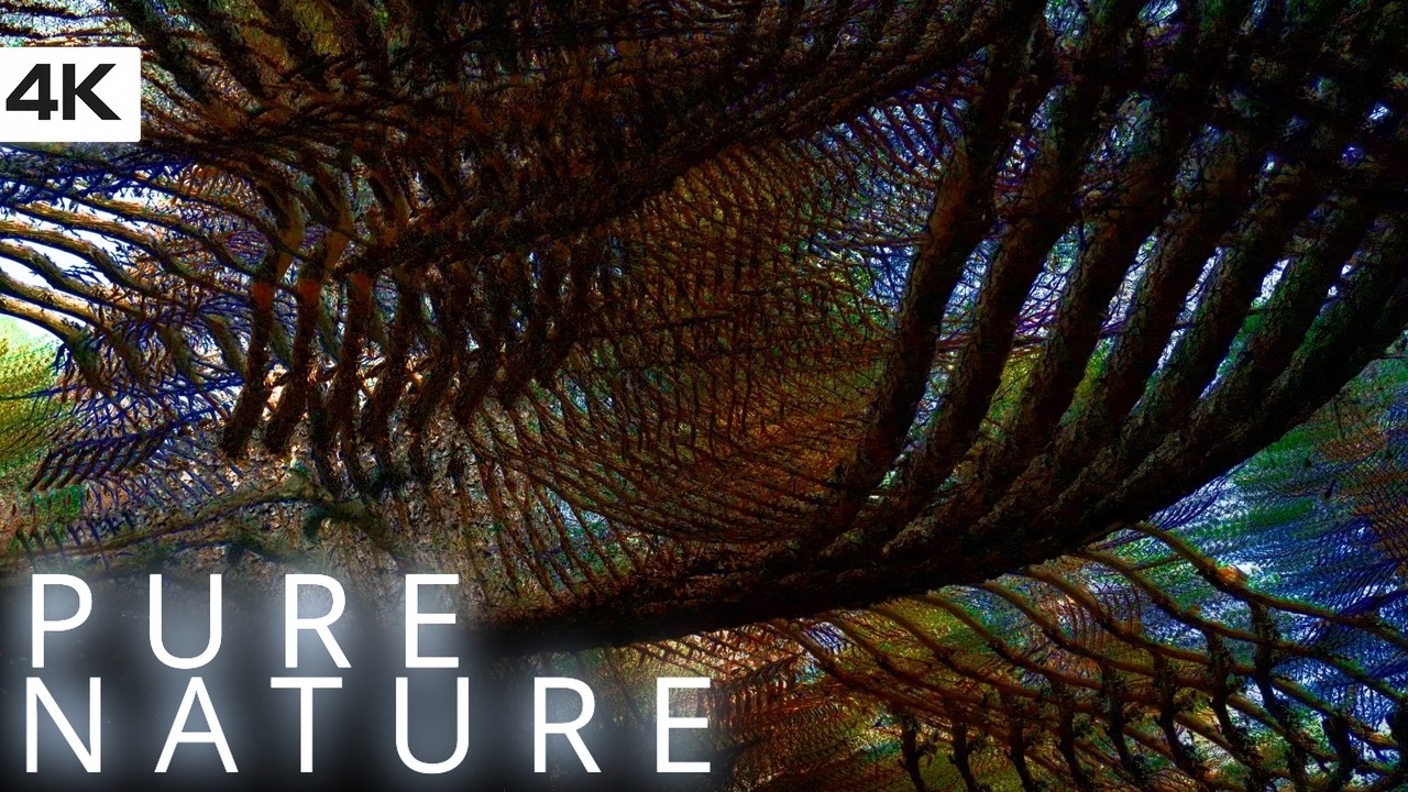 Floating Through Breathing Woods |1h+ trippy  nature visuals 4k🌿