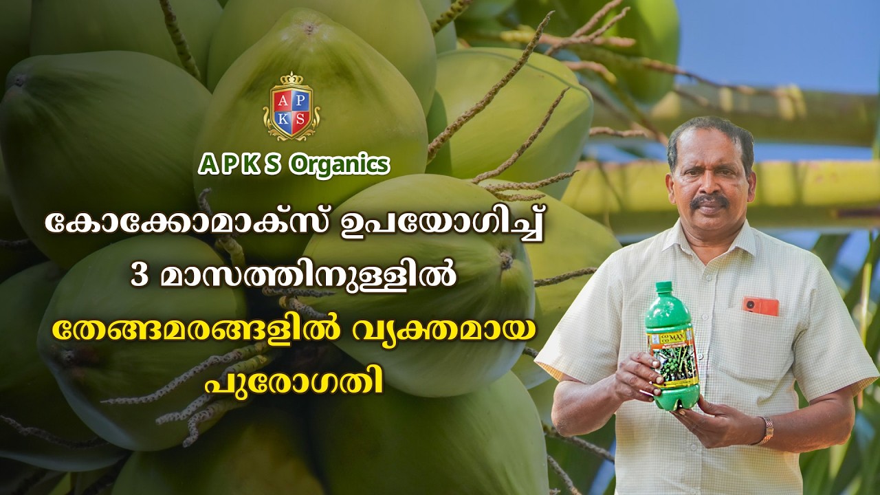 Online Farmer Mr. Mohammad Hussain Reviews Cocomax Fertilizer for Coconut Crop🌴💚