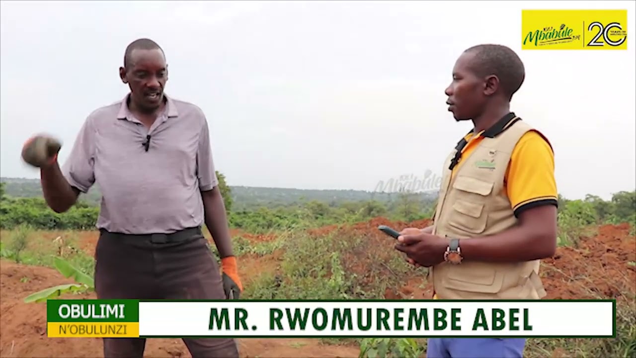 OMULIMI N'OMULUNZI