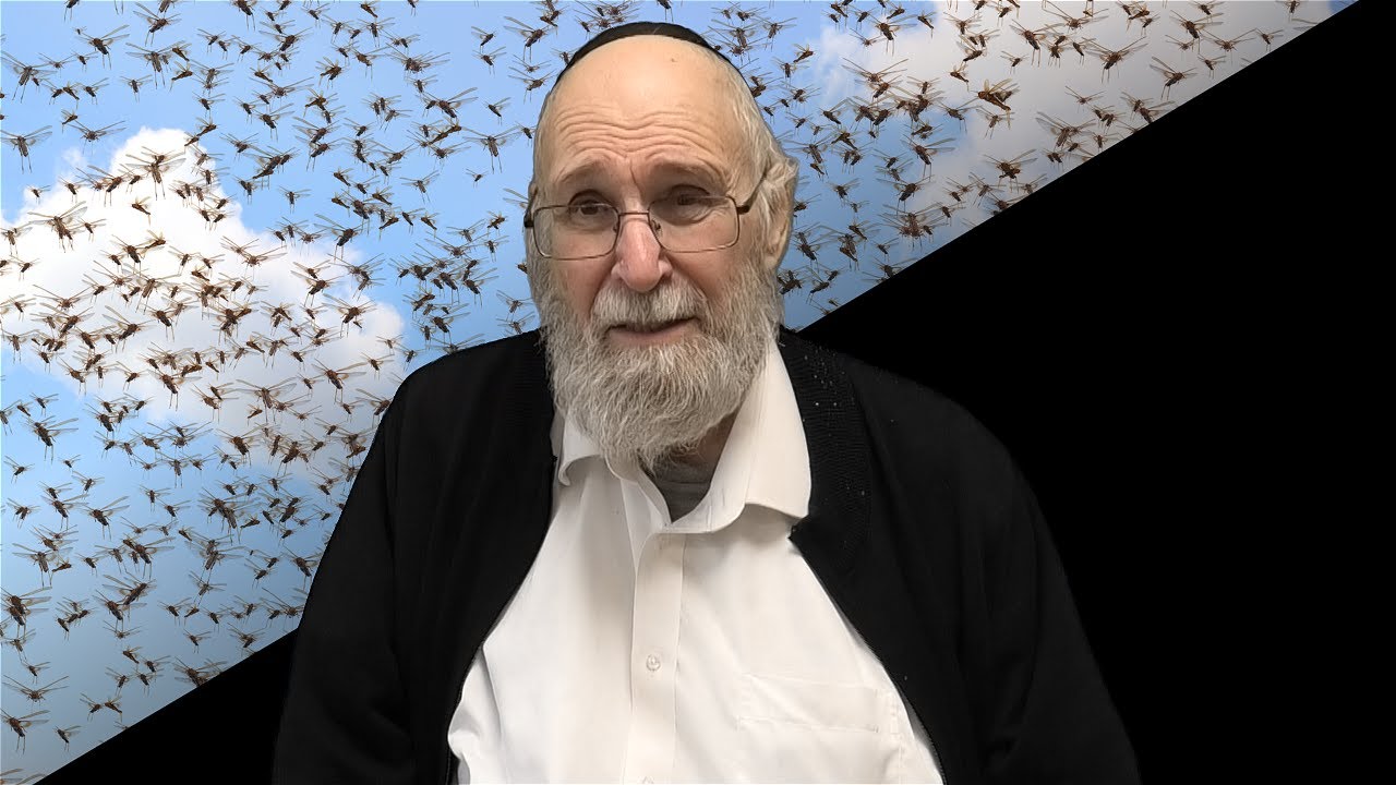 Parshat Bo with Reb Chaim Kramer