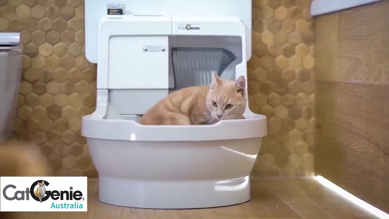 CatGenie Self-Washing Cat Litter Box