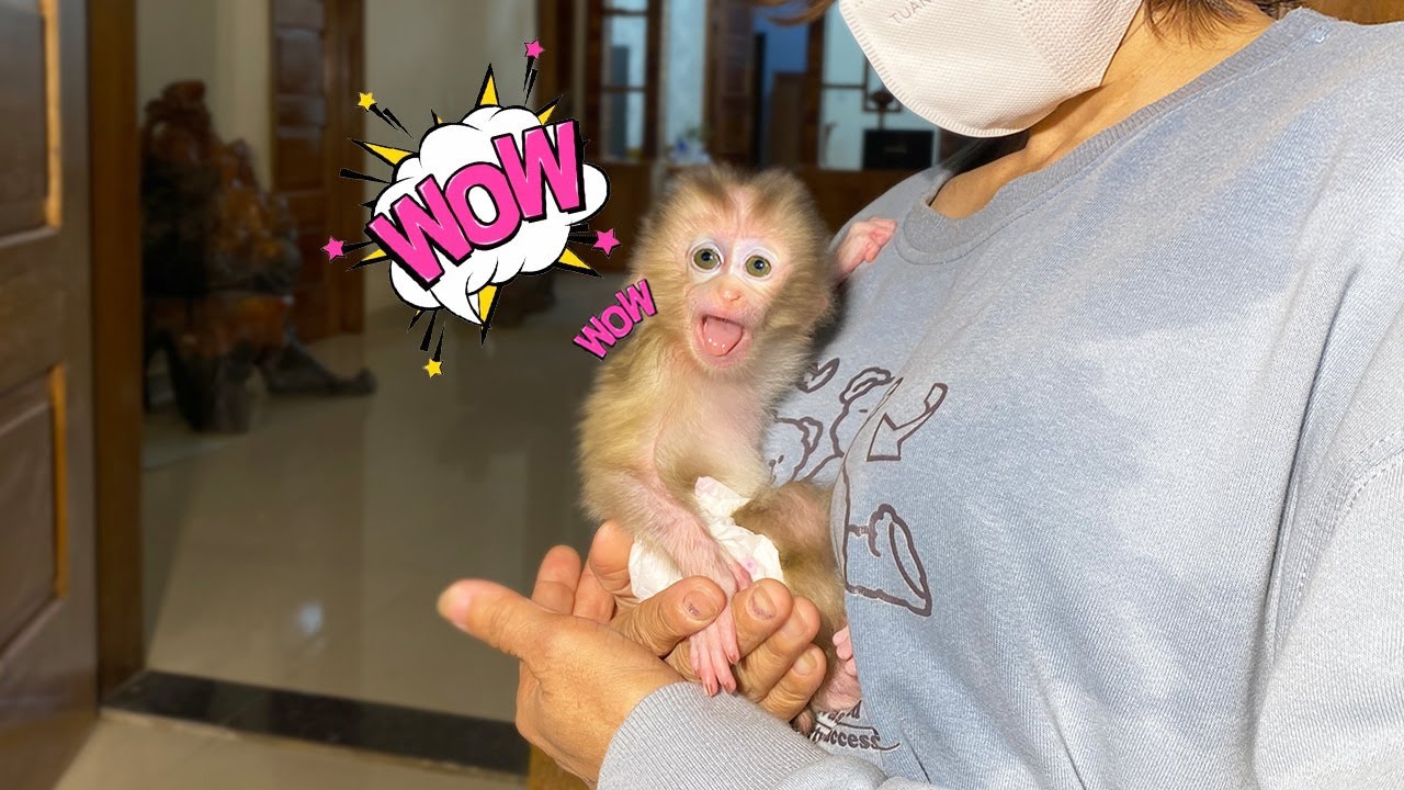 YuYu's reaction when she returns to her new home with Mom