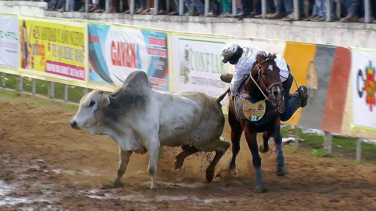 GRAN FINAL, XI COPA AMÉRICA DE COLEO