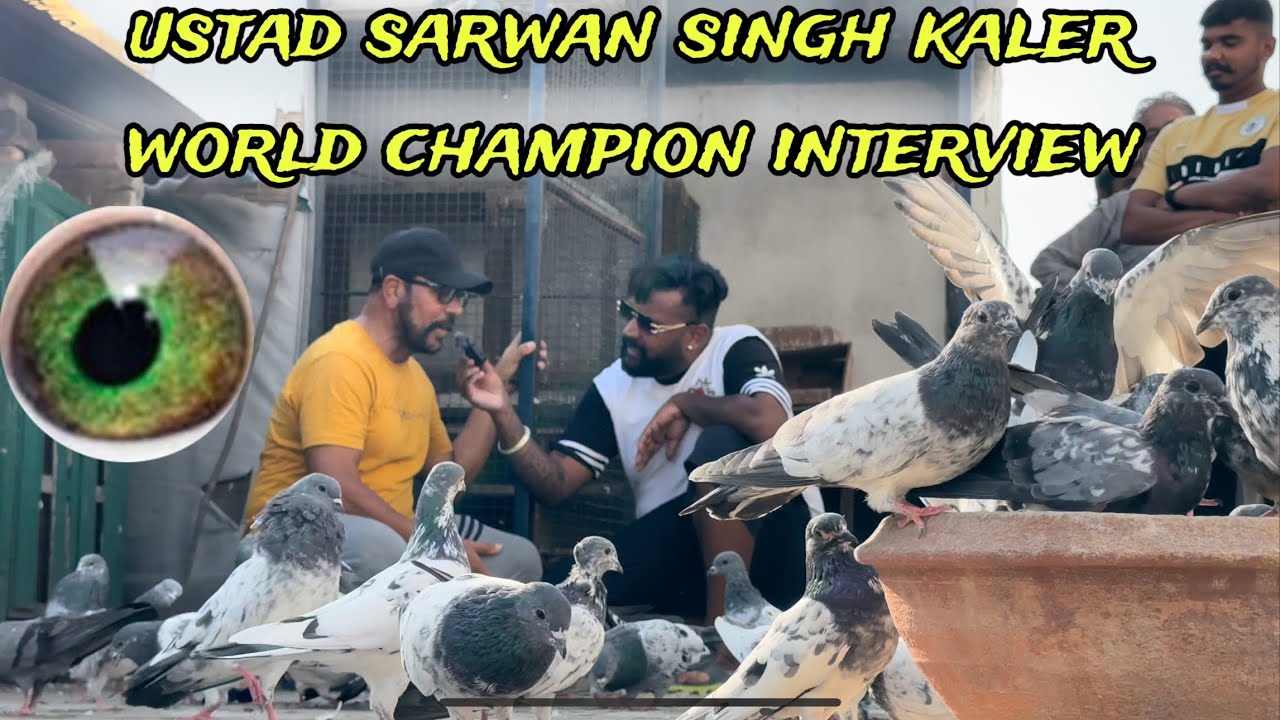 ustad sarwan singh kaler interview by roze#indian#rozersandhu#trendingvideos#rozeraseel#viralvideos