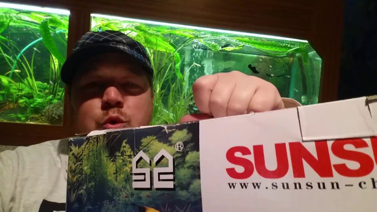 SunSun Aquarium Außenfilter mit UV Lampe Installation und Test deutsch