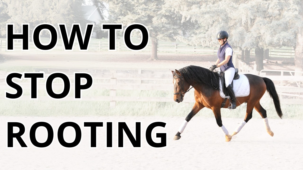 How to stop rooting on the reins