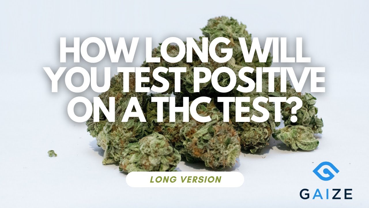 How Long Will you Test Positive on a THC Test? - Long Version