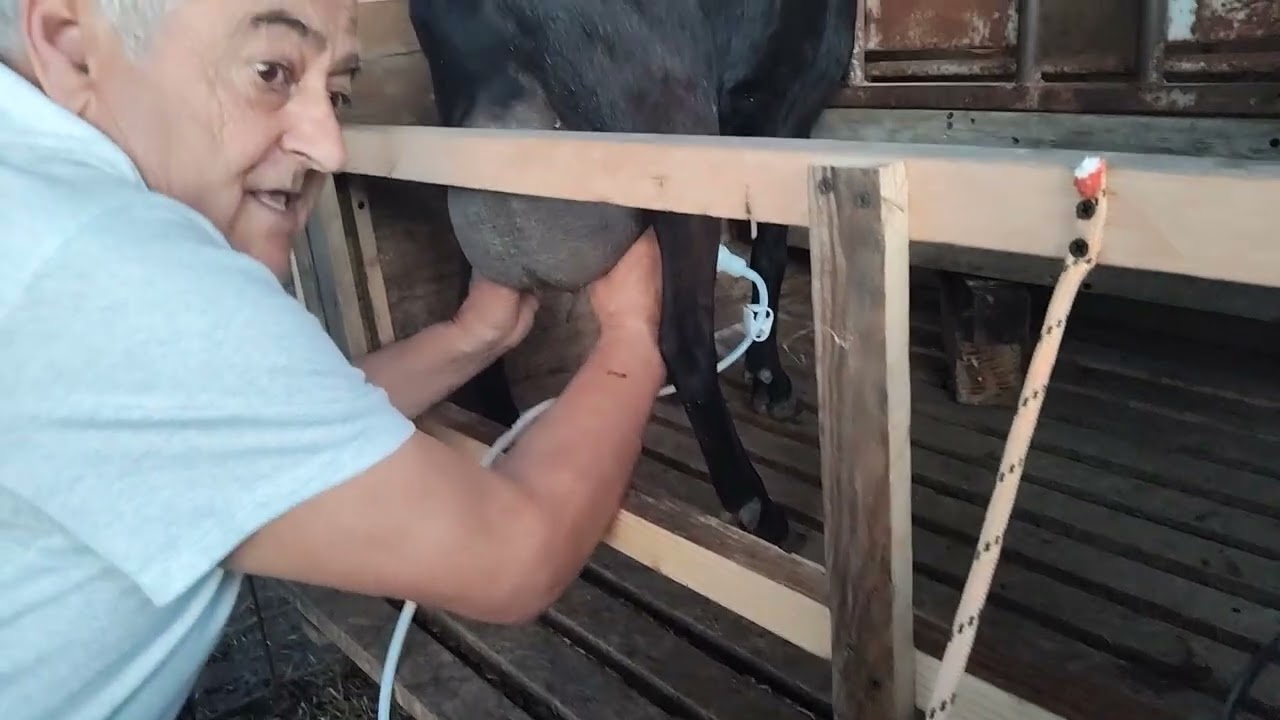 Bueno ordeñadora proba 😉 👍 