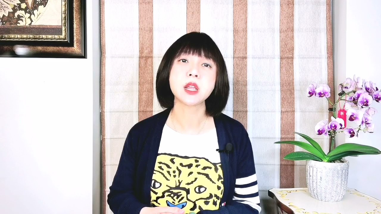 孤烟暮蝉说时政：紫发翻译带偏了话题 中国媒体何时才能不做搬运工？