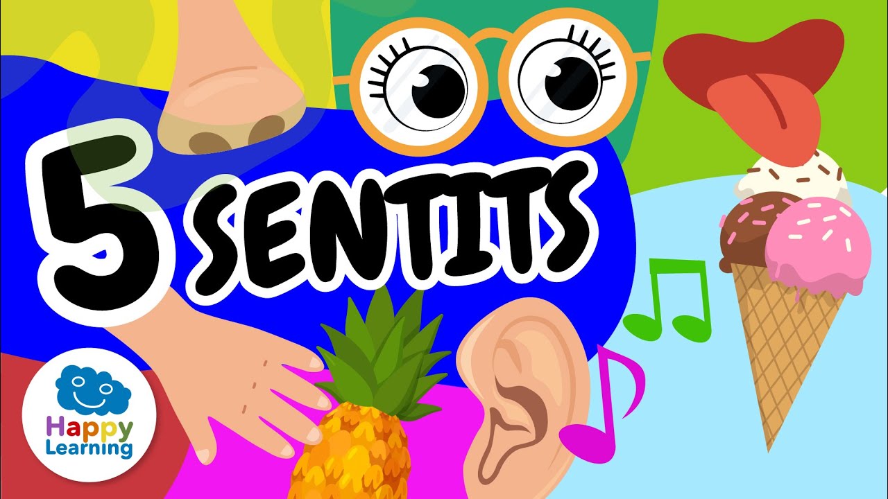 ✋👅 Els 5 SENTITS del COS HUMÀ | Vídeos educatius per a nens en llengua catalana