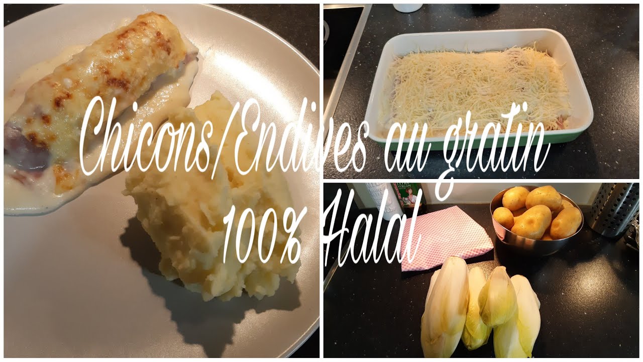 Chicons/Endives au gratin Recette Belge 100% Halal [RECETTES]