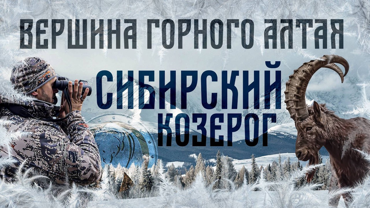 Вершина Горного Алтая / Сибирский Козерог 2025