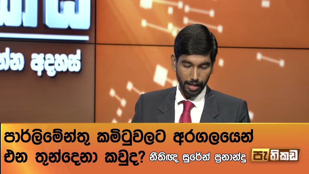 පාර්ලිමේන්තු කමිටුවලට පිටින් ගේන්න පුළුවන්ද?