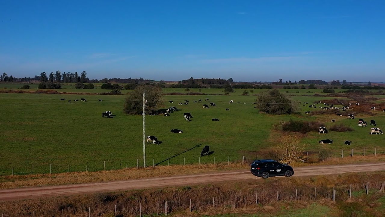 Tambos del futuro - Rincón de Albano | San José, Uruguay
