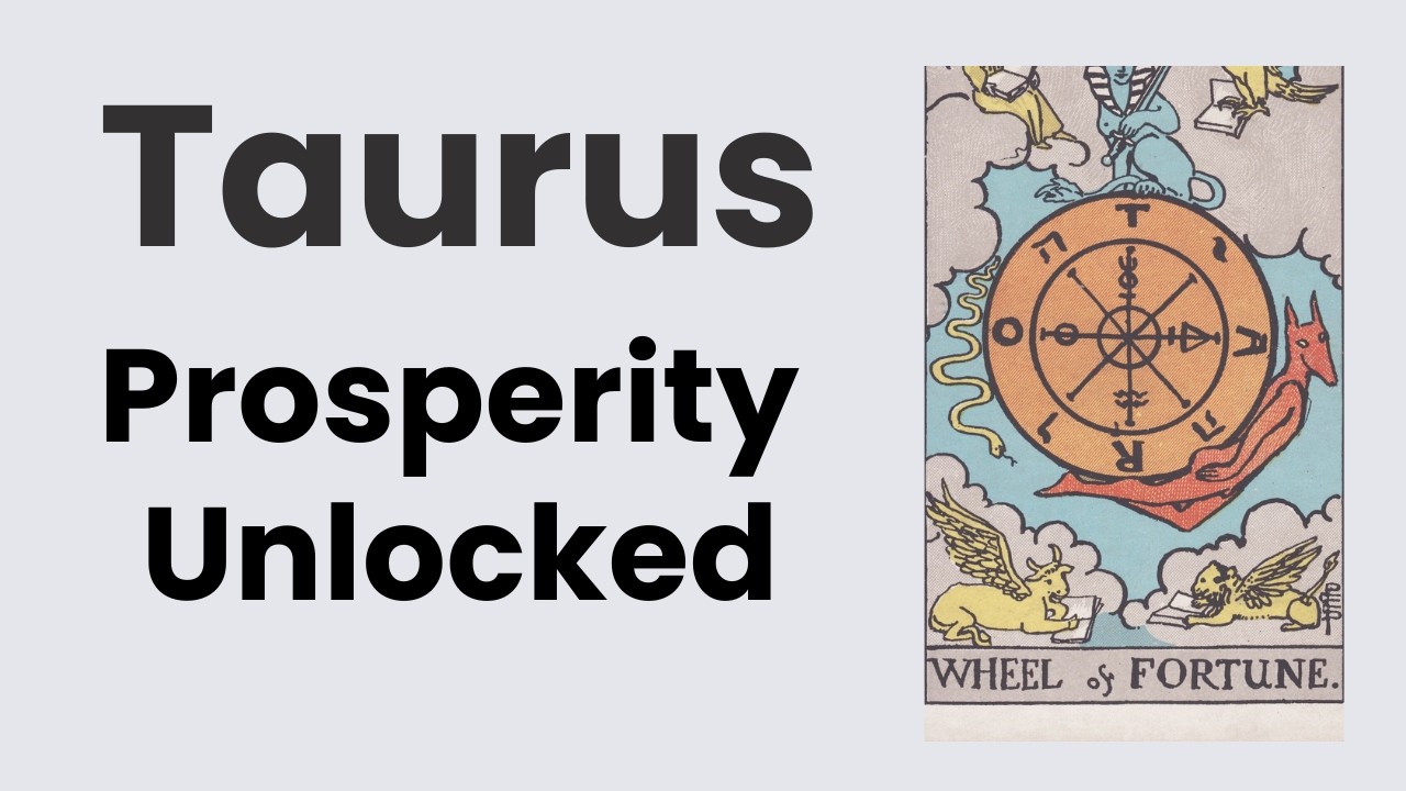 Taurus Everything You Learned Is About To Pay Off! 🩵 February 9th – 16th Weekly Tarot