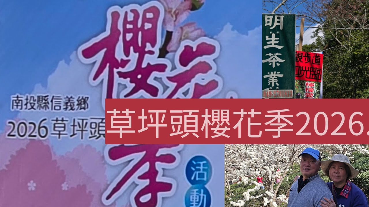 南投縣信義鄉2026.草坪頭櫻花季活動，李花 ，先登場.