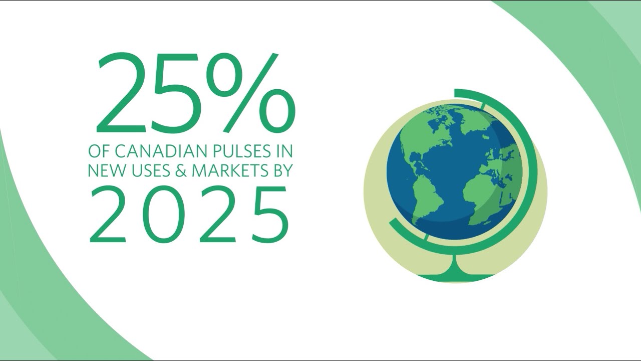 25 by 2025 Pulse Market Development Strategy