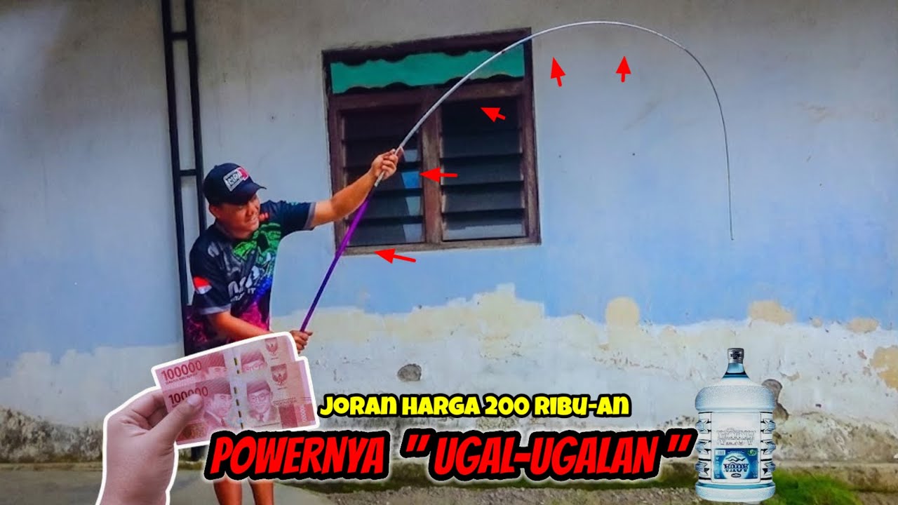 REVIEW JORAN TEGEK KAKU RINGAN HARGA 200 RIBUAN || Ryukai Zevon 270 & 300
