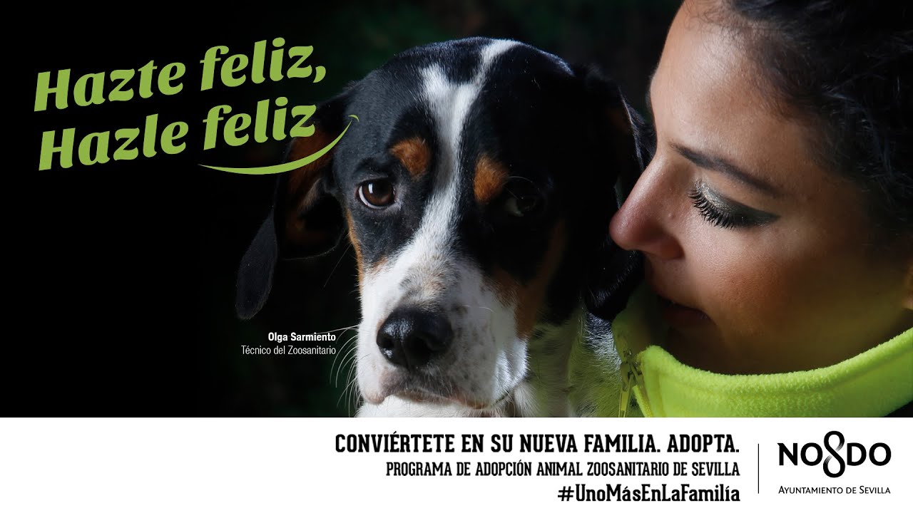 Zoosanitario de Sevilla. Programa de adopci&oacute;n animal. #UnoM&aacute;sEnLaFamilia