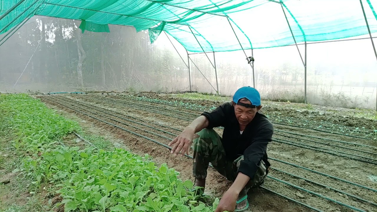 (ENG SUB) Farmers4FoodSystems: Family Farmer from Cambodia