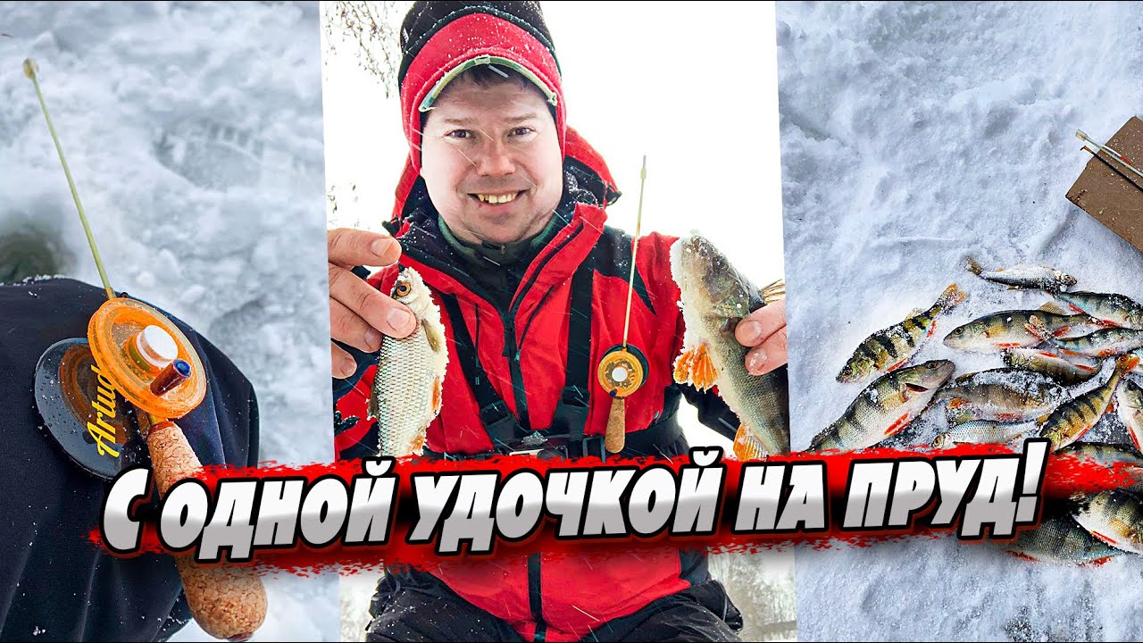 Как на одну удочку поймать разных рыб? | Рыбалка с Artuda Trio S премиум!