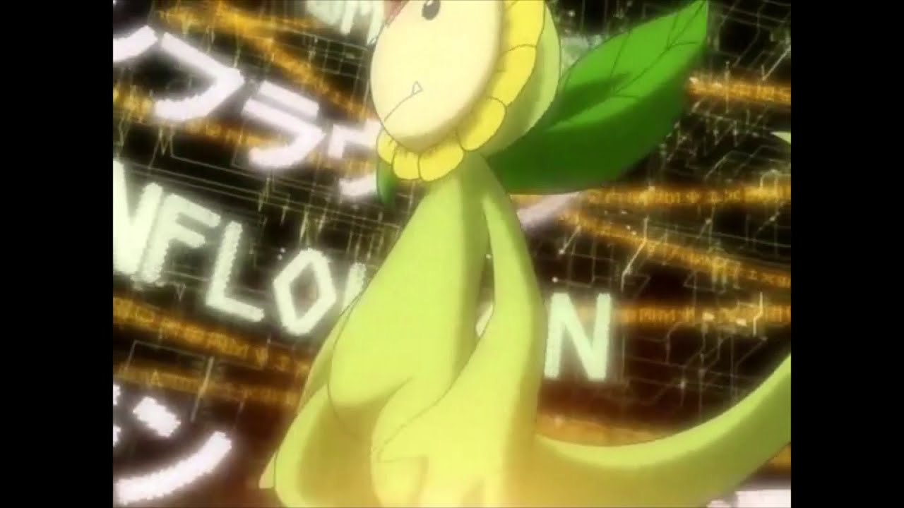 Lalamon - Sunflowmon (Brasil) HD