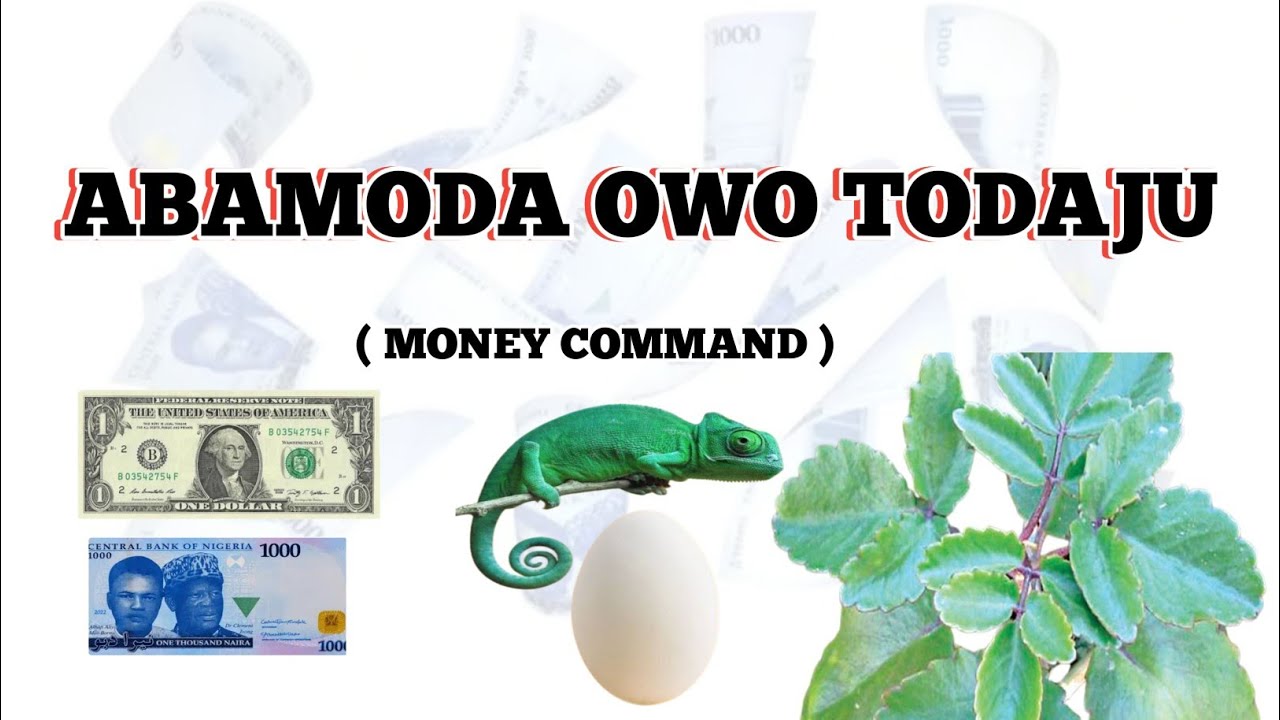ABAMODA OWO TODAMILOJU @Dromoodoagbatv