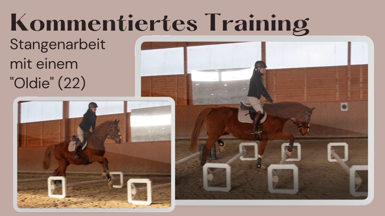 [Training] Warum Stangenarbeit so wertvoll & wichtig ist...