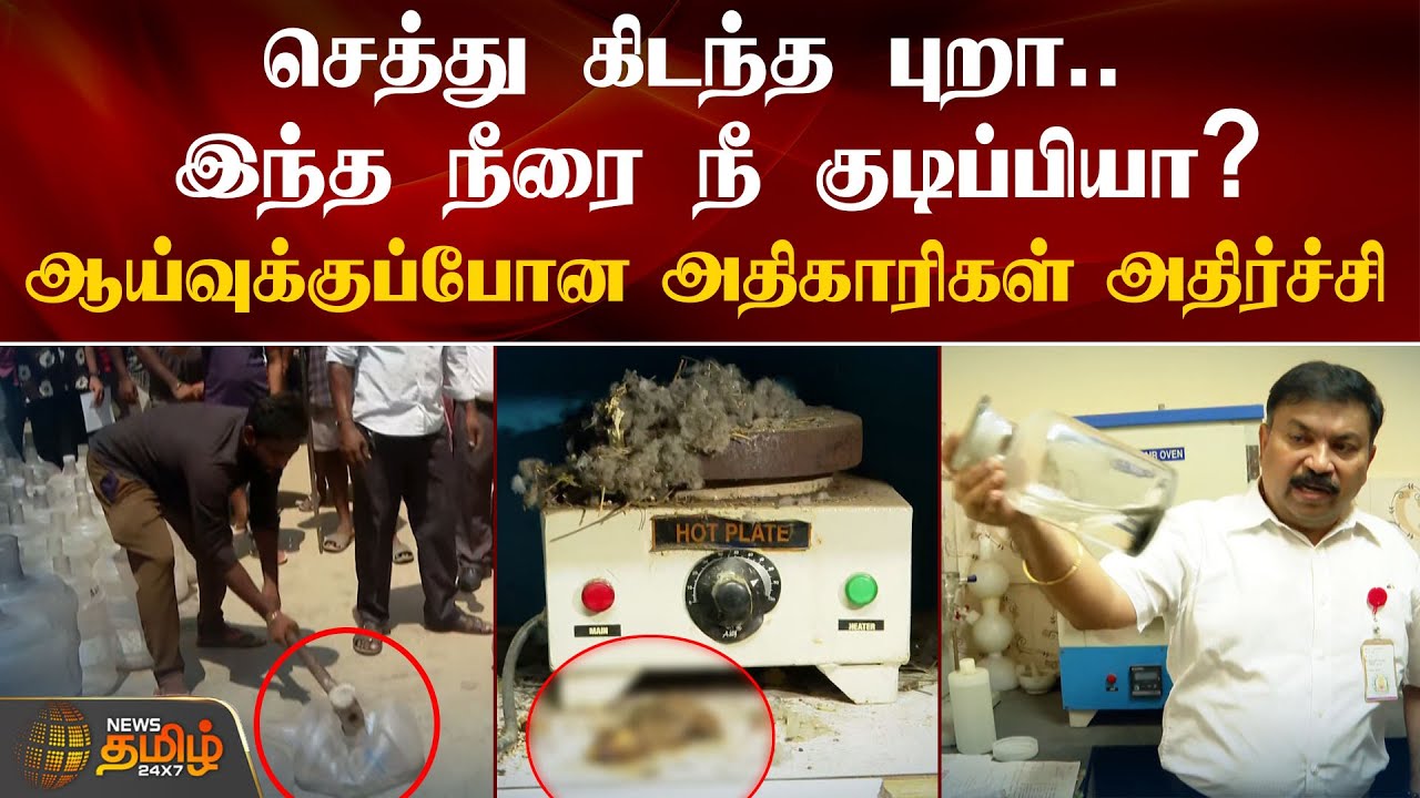 செத்து கிடந்த புறா.. இந்த நீரை நீ குடிப்பியா? ஆய்வுக்குப்போன அதிகாரிகள் அதிர்ச்சி | Chennai
