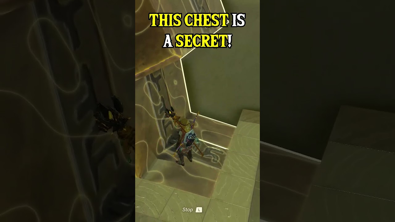 THIS CHEST Is A SECRET! 🤫 (Zelda TOTK)