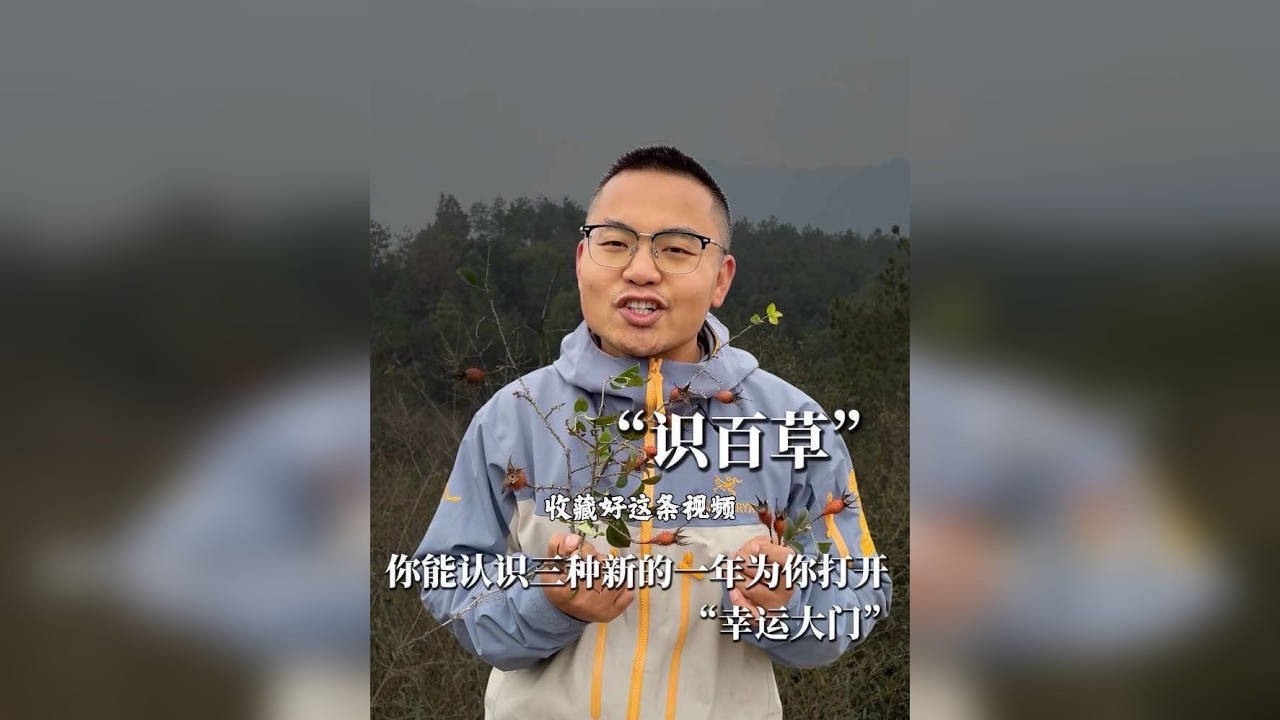 识百草草 如果你能认识三种，新的一年即将给你打开意想不到的幸福大门