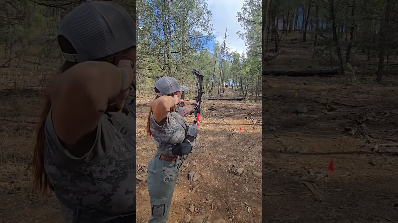 Archery 🏹 