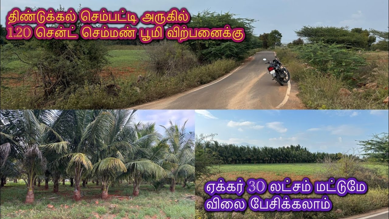 6379170190 திண்டுக்கல் செம்பட்டி அருகில் 1 ஏக்கர் 20 சென்ட் செம்மண்பூமி விற்பனைக்கு#agriculture#agri