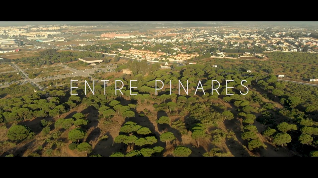 Entre Pinares El Puerto de Santa Mar&iacute;a. - Vistaereo - Canal-films24 -