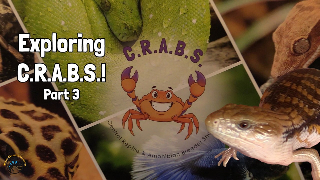 Exploring C.R.A.B.S. the Central Reptile & Amphibian Breeder Show! - Part 3 - Finishing Up!