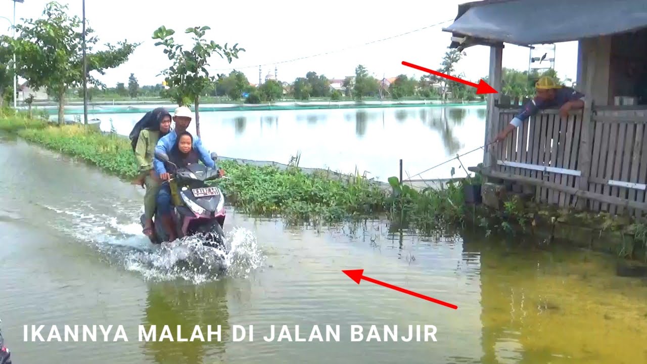 Banjir makin parah! Mancing di jalan panen ikan