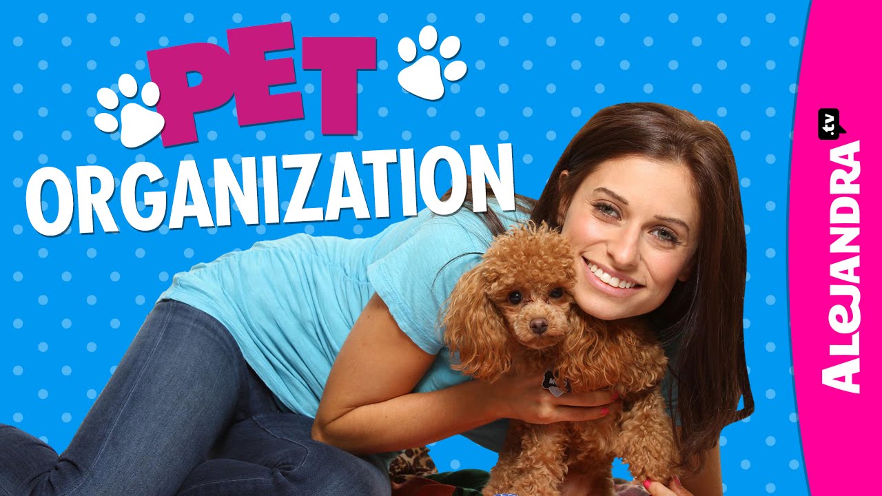 Pet Organization
